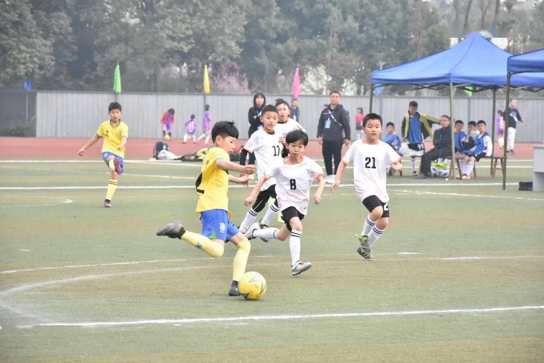 足球比赛的魅力和激情挑动了人们足球的心弦的简单介绍 足球比赛的魅力和激情挑动了人们足球的心弦的简单介绍