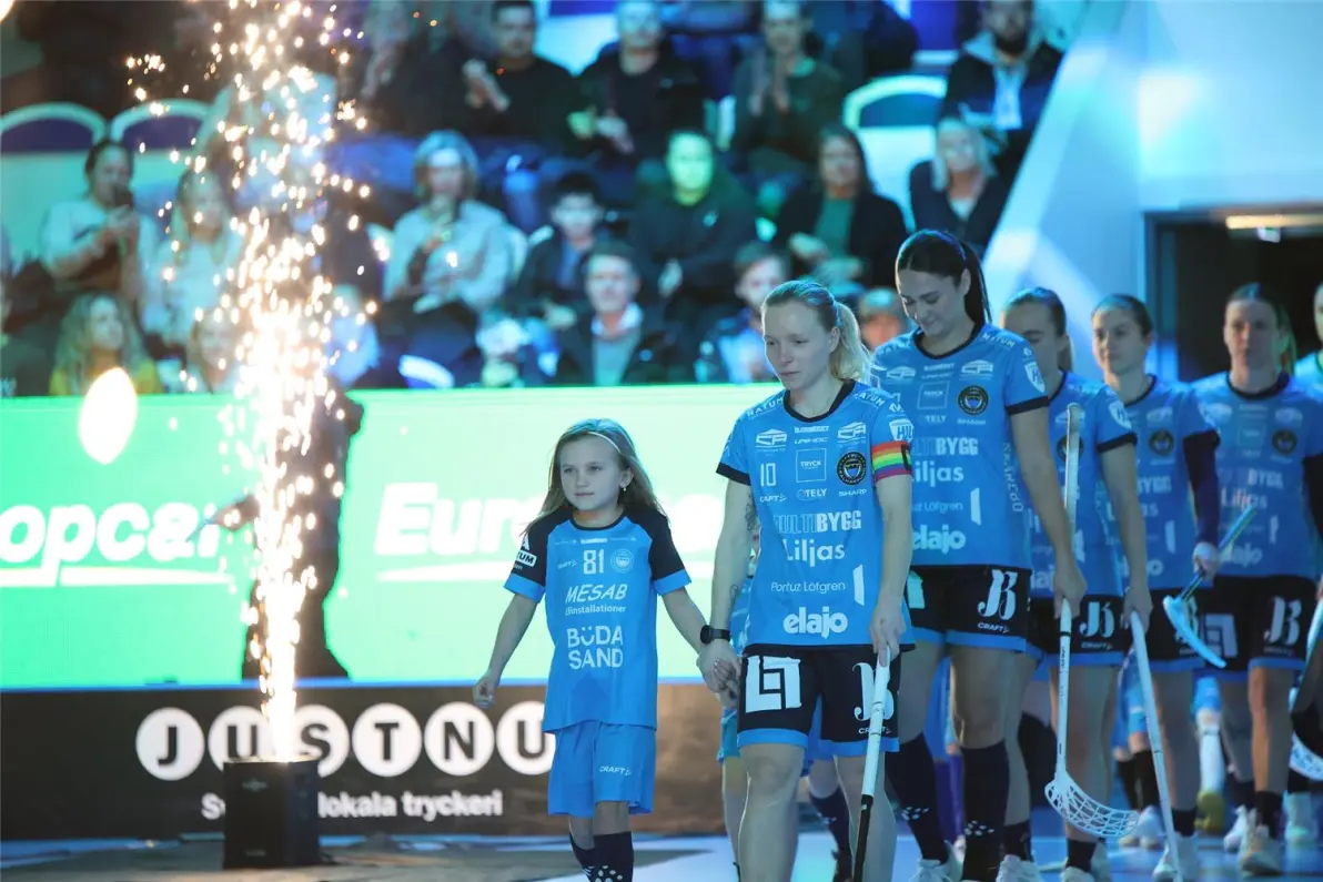 瑞典队在欧洲杯预选赛中迸发能量