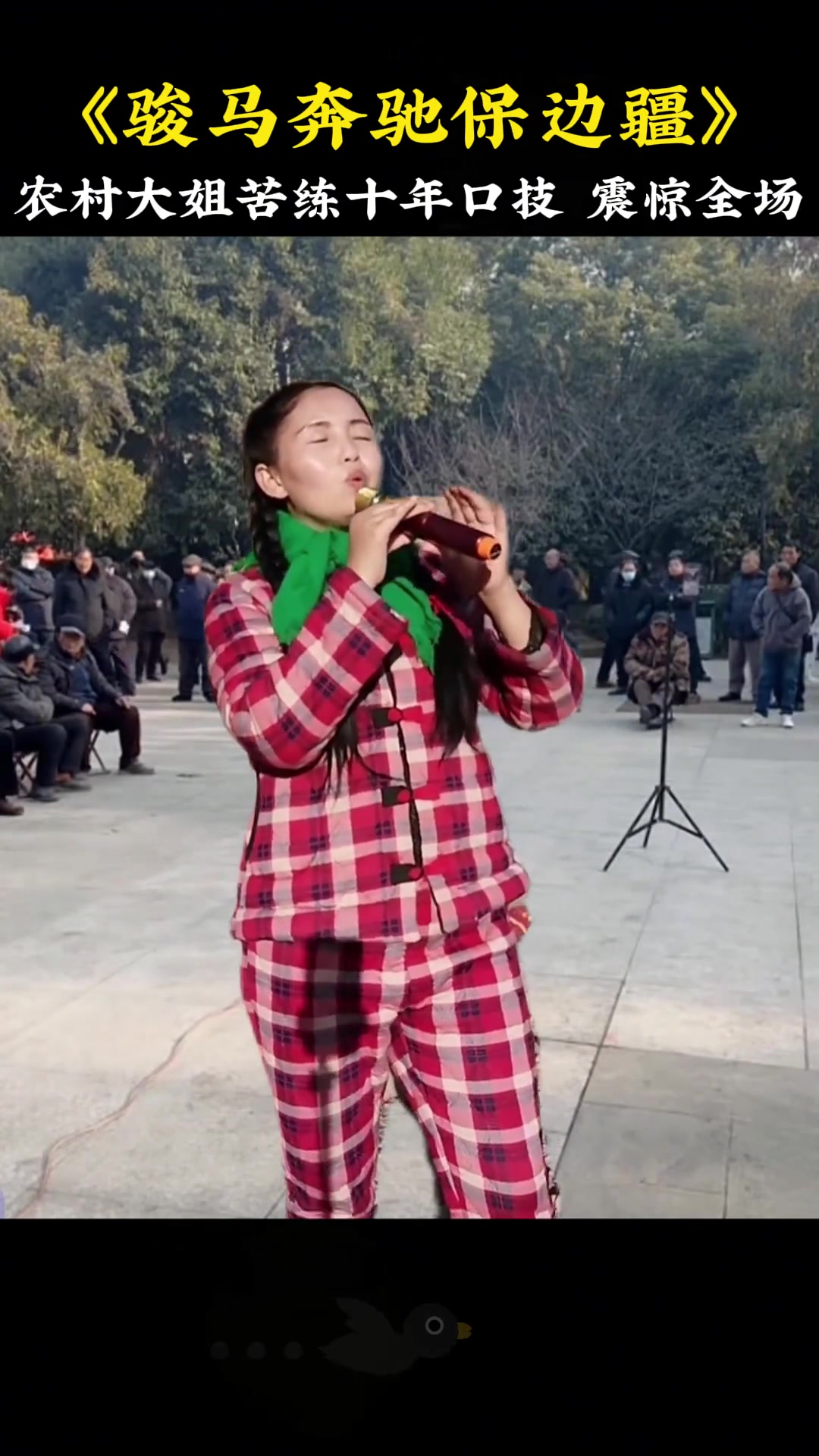 精湛技艺展现,观众赞叹不已 精湛技艺展现,观众赞叹不已